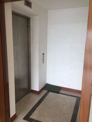 Palm Gardens (D23), Condominium #529047111